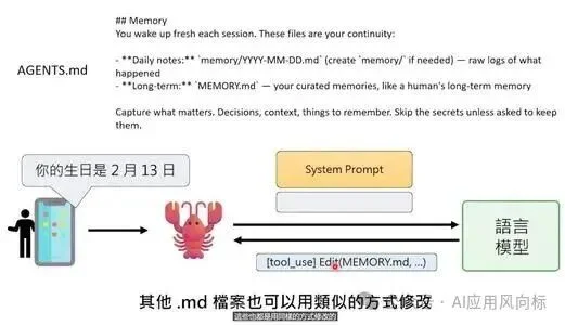 OpenClaw最强科普，看完就真会玩龙虾了