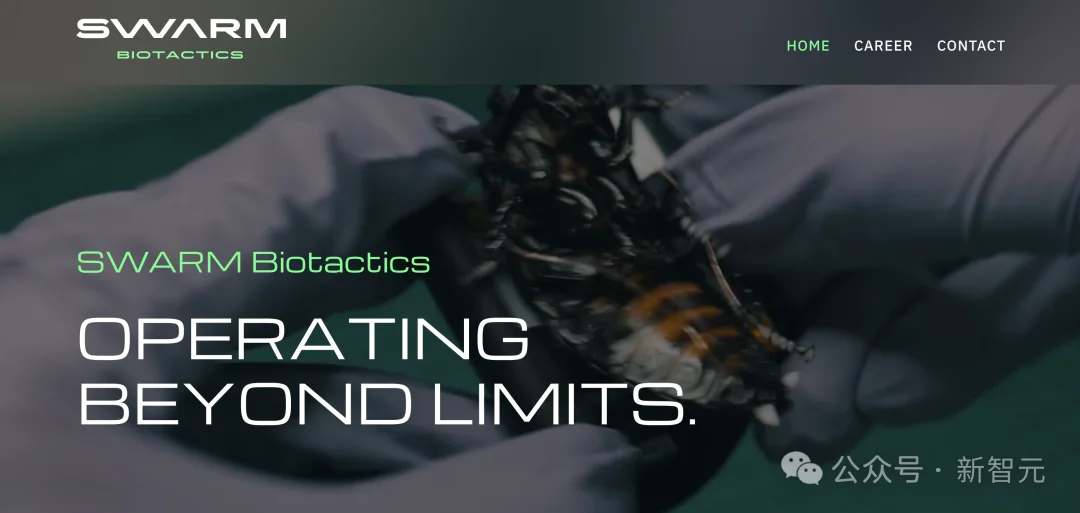 北约将活蟑螂的神经接入AI，化身无孔不入的赛博格侦察兵