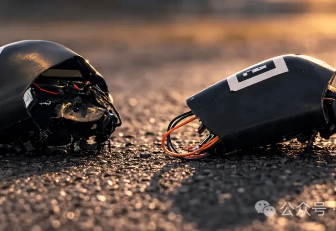 北约将活蟑螂的神经接入AI，化身无孔不入的赛博格侦察兵