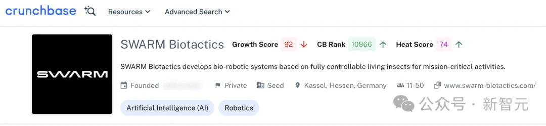 北约将活蟑螂的神经接入AI，化身无孔不入的赛博格侦察兵