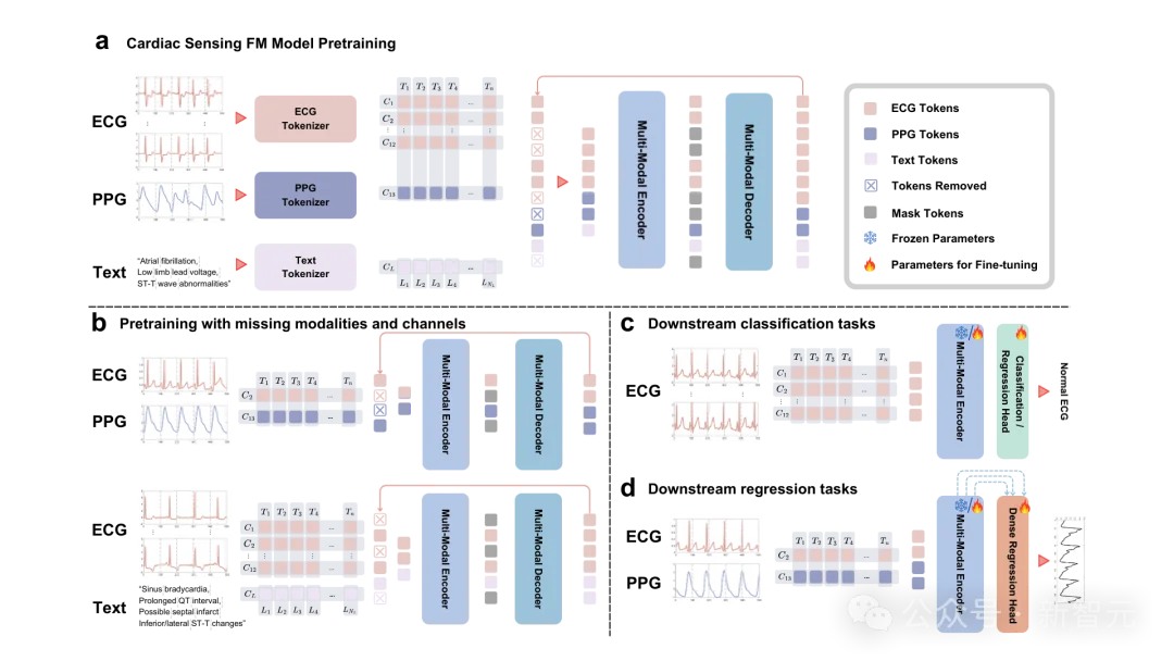 Nature子刊封面：牛津提出首个百万级多模态心脏基础模型CSFM