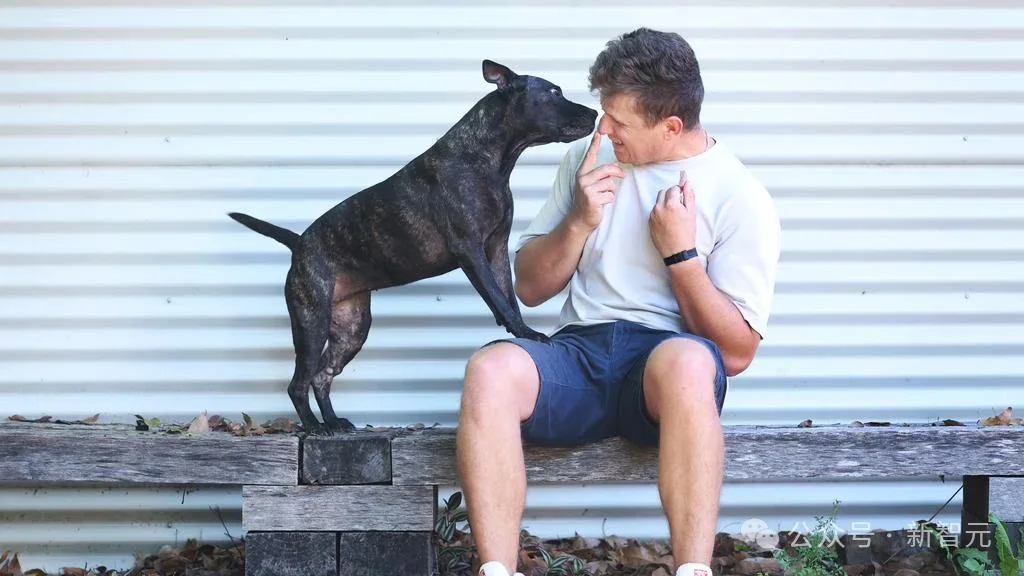 澳洲大神用ChatGPT手搓疫苗抢命,救活癌症晚期爱犬!OpenAI总裁爆赞