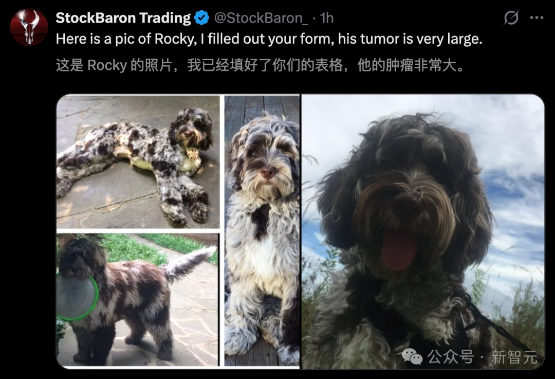 澳洲大神用ChatGPT手搓疫苗抢命,救活癌症晚期爱犬!OpenAI总裁爆赞