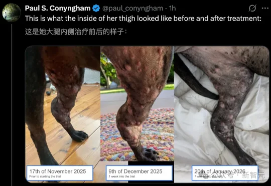 澳洲大神用ChatGPT手搓疫苗抢命，救活癌症晚期爱犬！OpenAI总裁爆赞