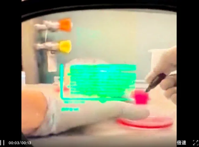 科研人有自己的“吃虾”方式!斯坦福普林斯顿最新开源,仅需一行指令