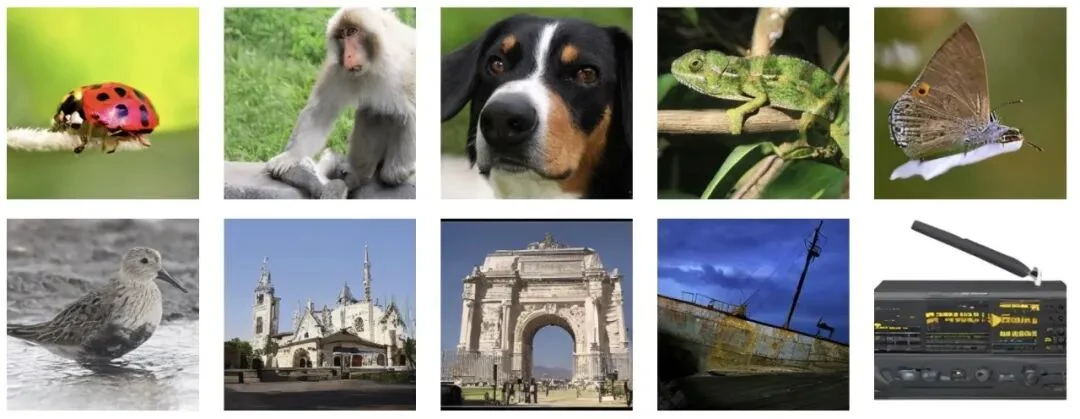 全新线性注意力范式！哈工深张正团队提出模长感知线性注意力！显存直降92.3%！