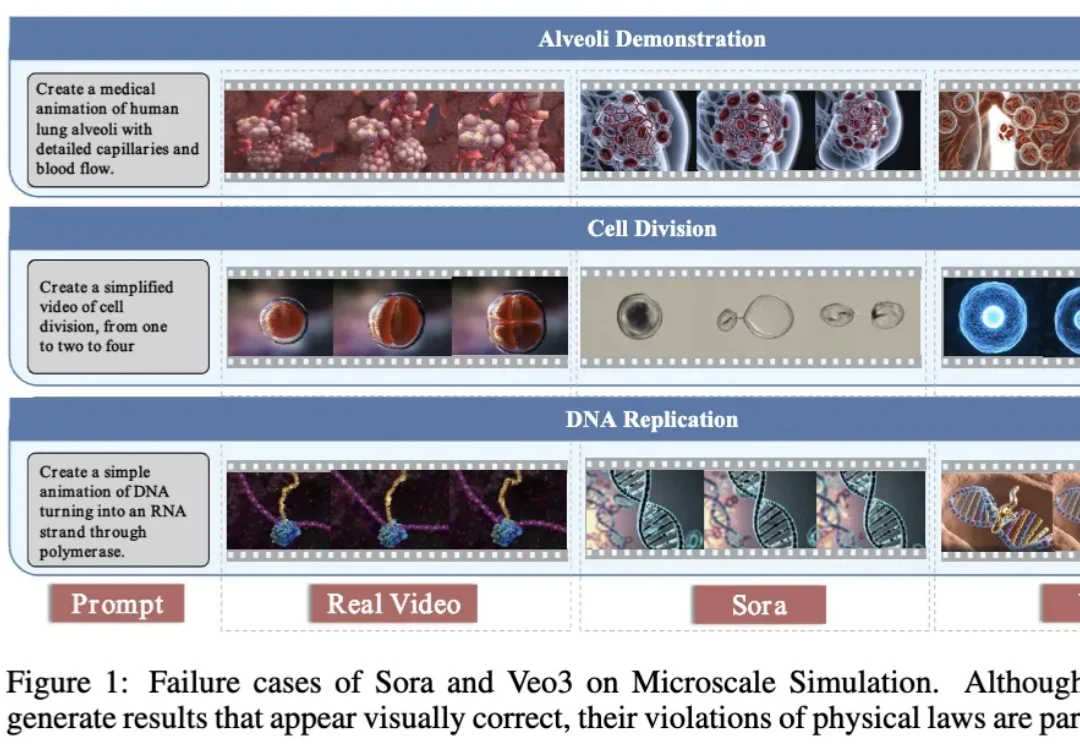 ICLR 2026｜首个微观世界模型MicroVerse来了，AI开始模拟看不见的世界