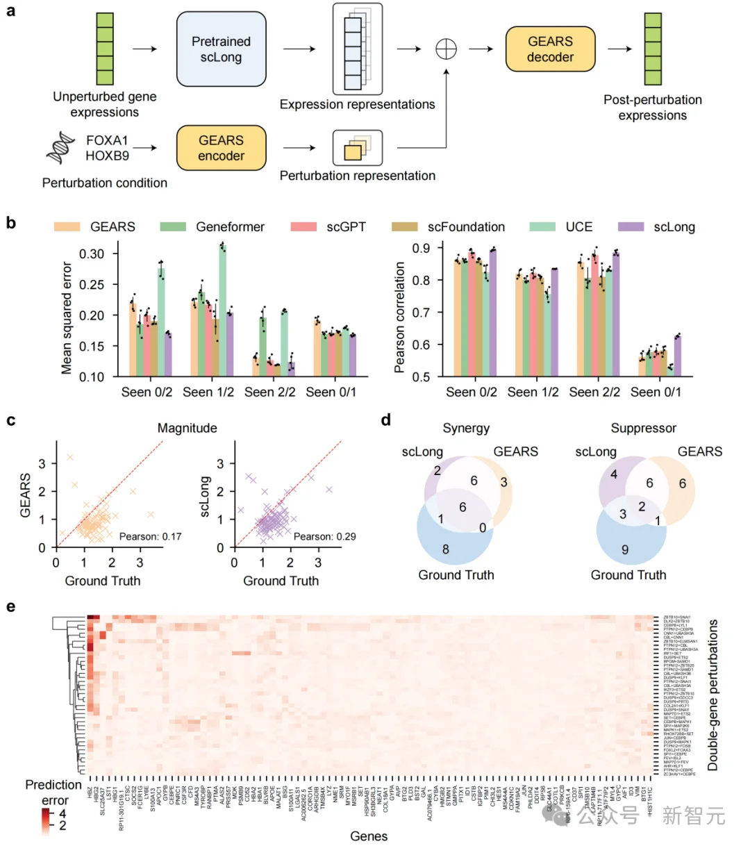 当AI第一次读完整本基因之书，十亿参数单细胞大模型能干什么？