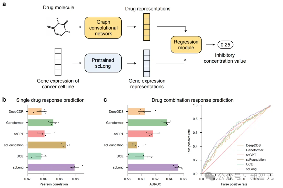 当AI第一次读完整本基因之书，十亿参数单细胞大模型能干什么？