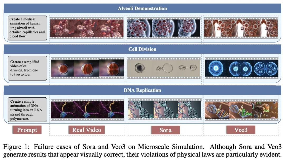 ICLR 2026｜首个微观世界模型MicroVerse来了，AI开始模拟看不见的世界