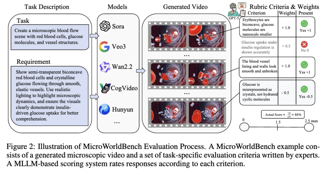 ICLR 2026｜首个微观世界模型MicroVerse来了，AI开始模拟看不见的世界