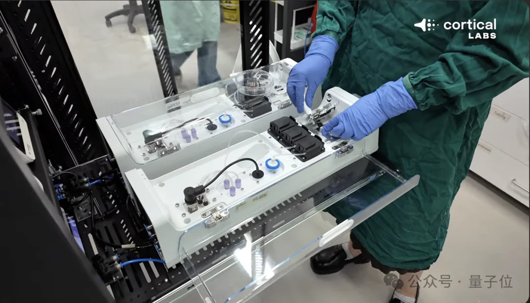 人脑细胞做成芯片打Doom!20万活体神经元自己探路杀敌,学习效率碾压深度强化学习