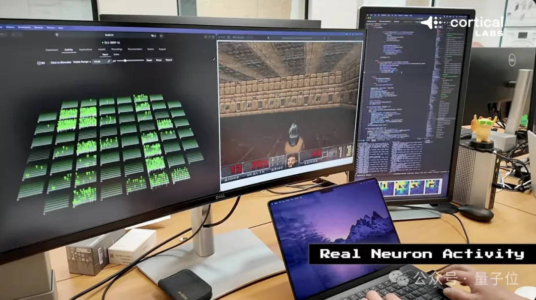 人脑细胞做成芯片打Doom!20万活体神经元自己探路杀敌,学习效率碾压深度强化学习