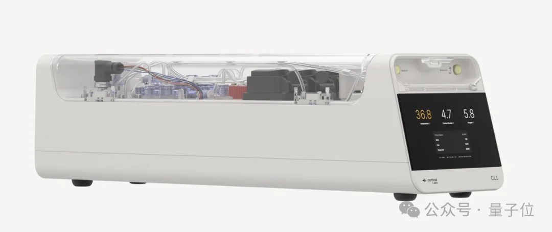 人脑细胞做成芯片打Doom!20万活体神经元自己探路杀敌,学习效率碾压深度强化学习