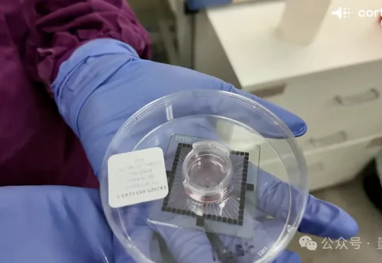 人脑细胞做成芯片打Doom！20万活体神经元自己探路杀敌，学习效率碾压深度强化学习