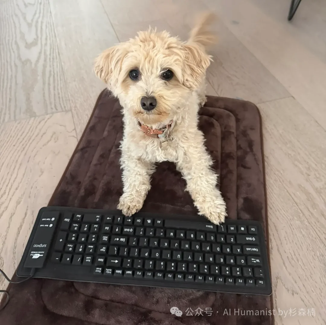 被 Meta 裁掉之后,他教会了自家狗用 Claude Code 编程