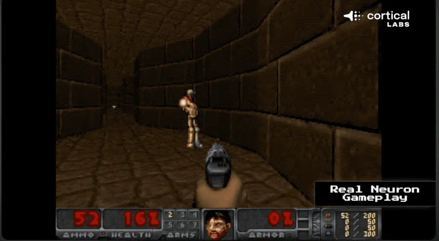 人脑细胞做成芯片打Doom!20万活体神经元自己探路杀敌,学习效率碾压深度强化学习