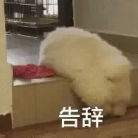 我在百度花 17.8 雇了个实习生，把我干破防了