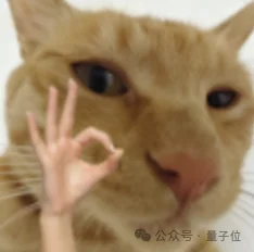 别人都在卷视觉，这家具身公司偏要卷“手感”