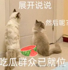 Meta又一AI大将跟LeCun跑了