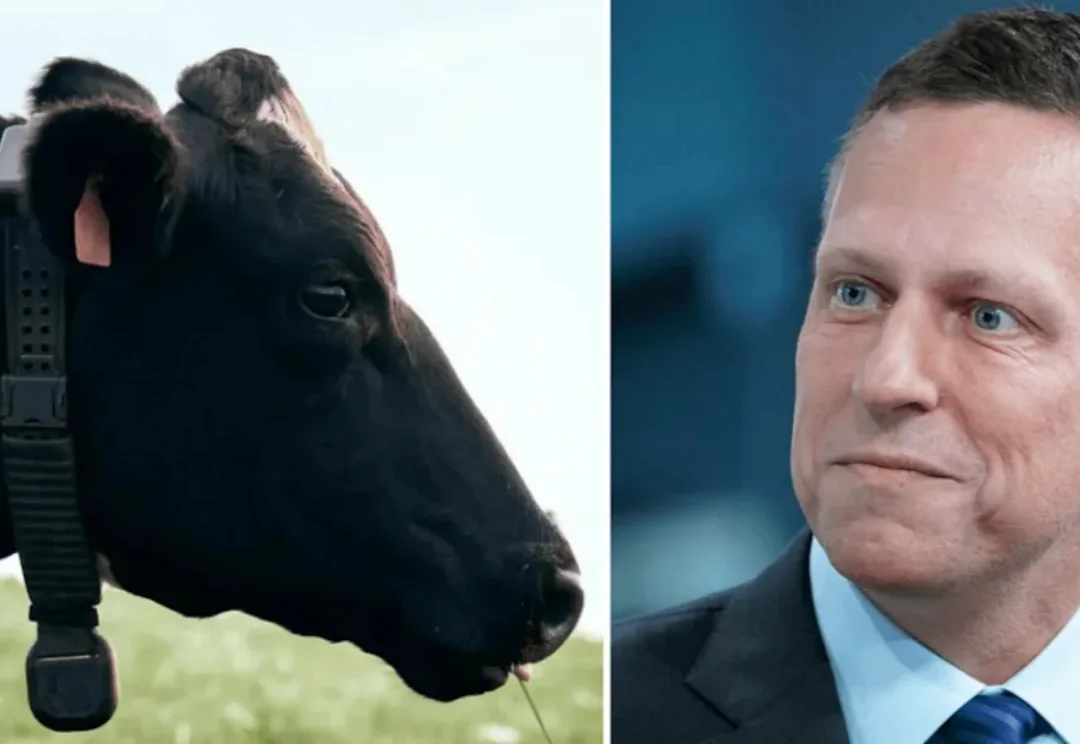 造火箭的辞职去放牛，彼得·蒂尔花20亿美元押注一个AI牛项圈