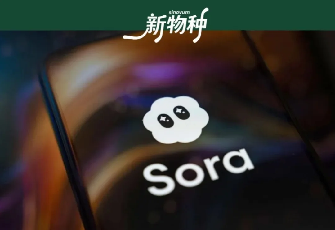 Sora时间线梳理：从颠覆行业到「死亡」的两年