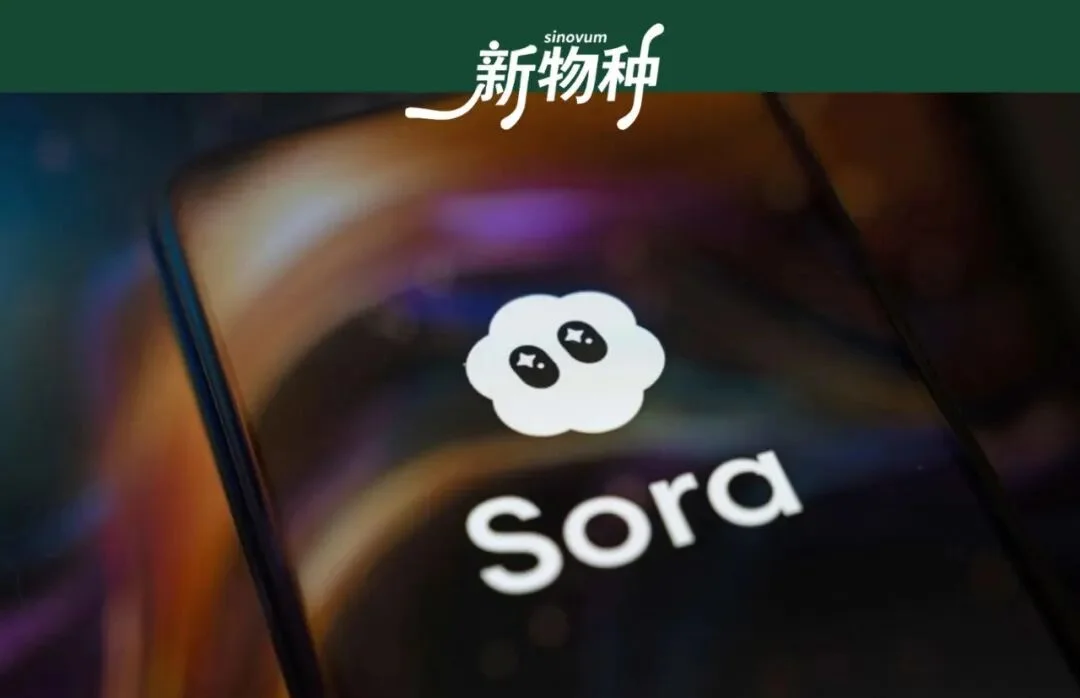 Sora时间线梳理：从颠覆行业到「死亡」的两年