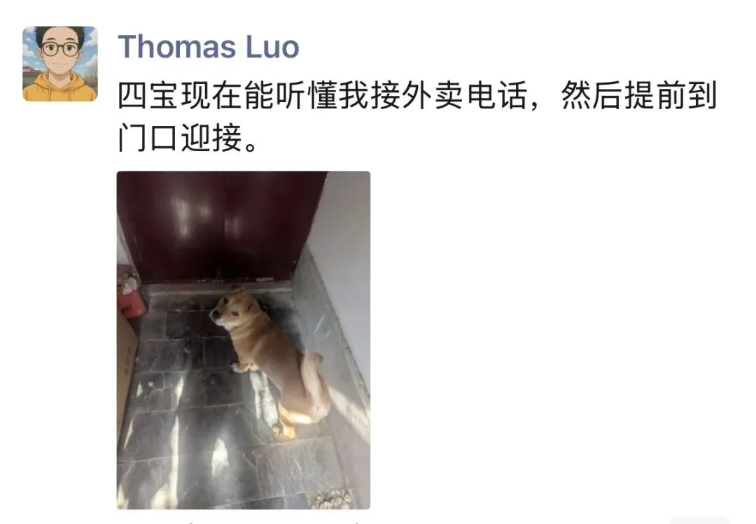 OpenClaw不如狗一条