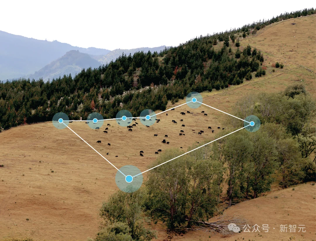 硅谷大佬抢着投！给奶牛戴AI项圈：估值20亿美元