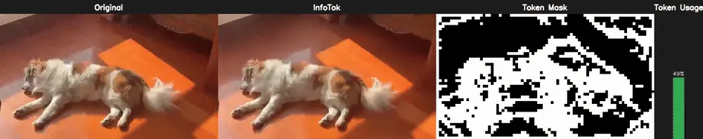 ICLR 2026 Oral | 大道至简！斯坦福、英伟达、新国立联合推出InfoTok，用信息论重新定义高效视频分词