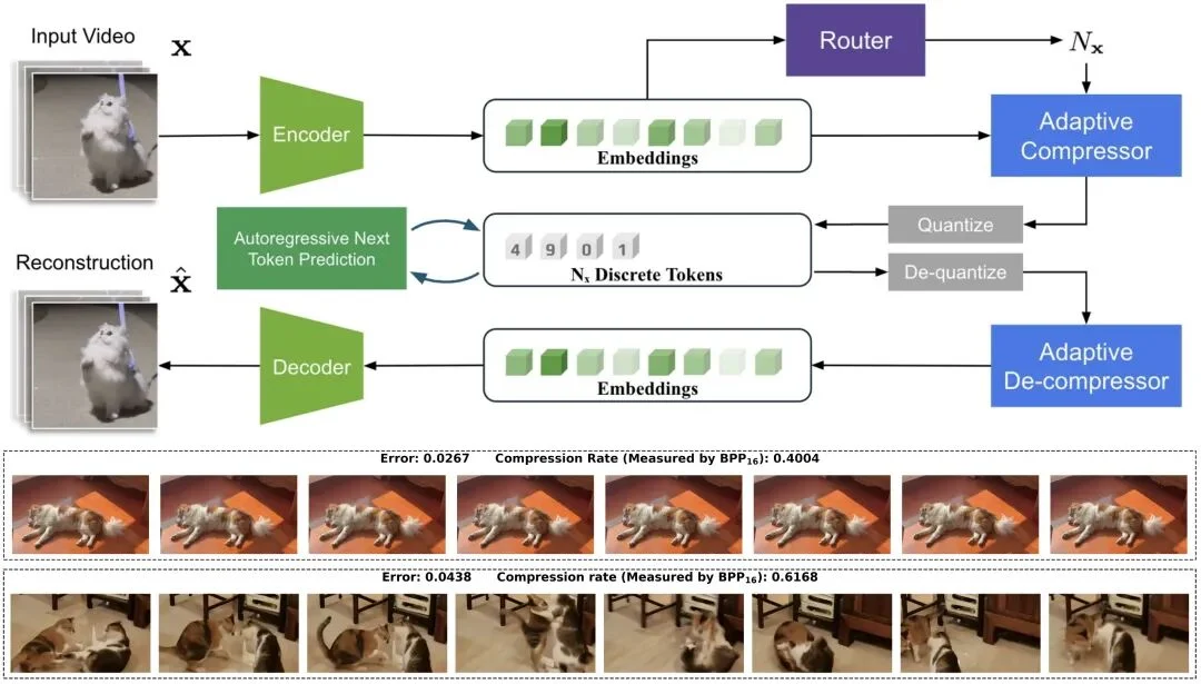 ICLR 2026 Oral | 大道至简！斯坦福、英伟达、新国立联合推出InfoTok，用信息论重新定义高效视频分词