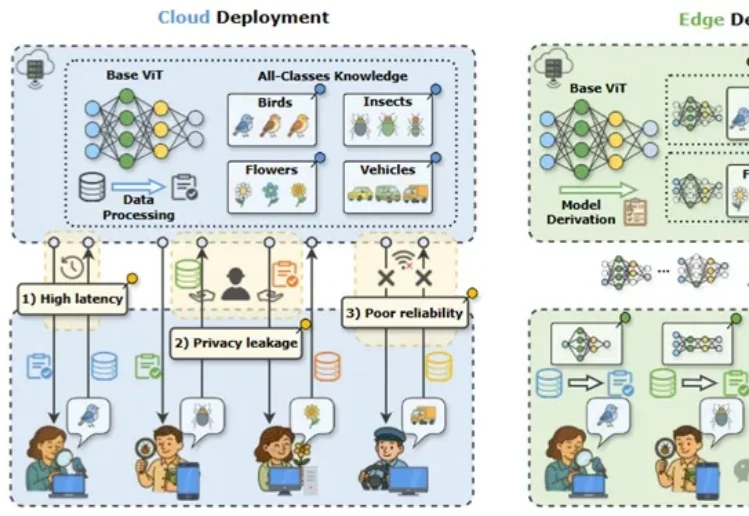 模型砍掉一大半，准确率反升15%！华科&阿里安全新研究实现ViT近乎无损的类特定压缩｜ICLR'26