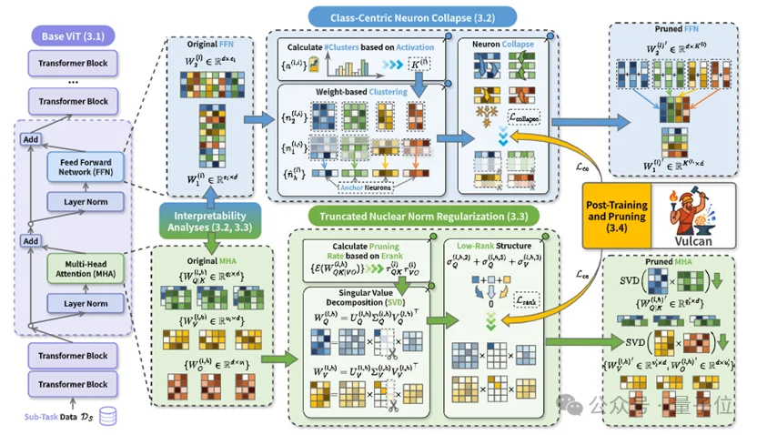 模型砍掉一大半，准确率反升15%！华科&阿里安全新研究实现ViT近乎无损的类特定压缩｜ICLR'26