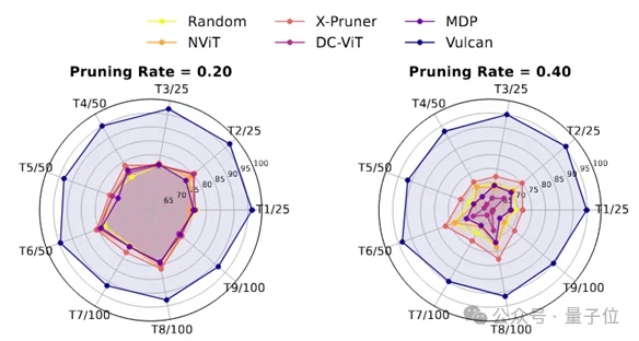 模型砍掉一大半，准确率反升15%！华科&阿里安全新研究实现ViT近乎无损的类特定压缩｜ICLR'26