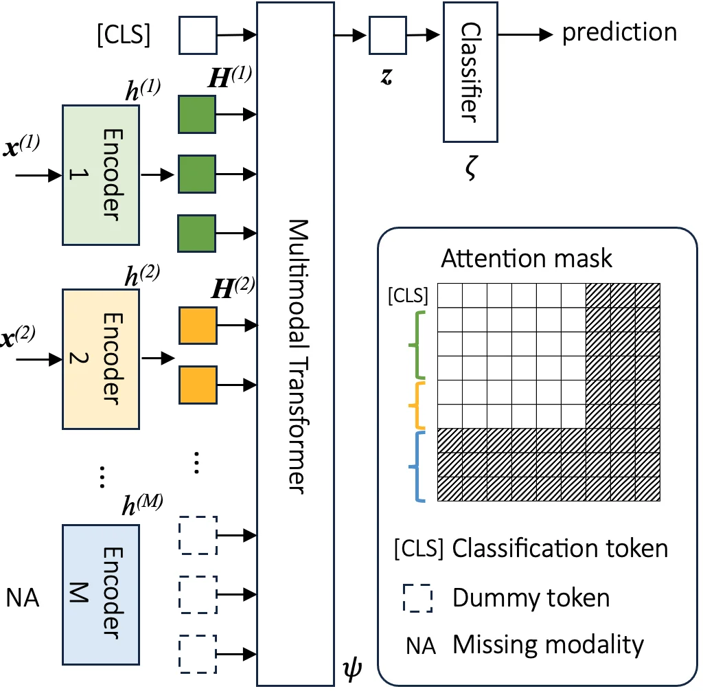 ICLR 2026 | 帝国理工大学提出DyMo：让多模态模型学会「选择」，突破模态缺失难题