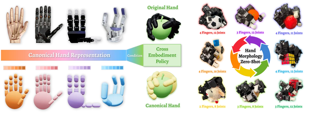 不同灵巧手，终于可以共用「一套大脑」了