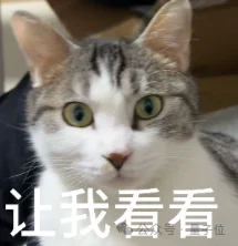 龙虾最佳适配模型，OpenClaw之父给出了推荐