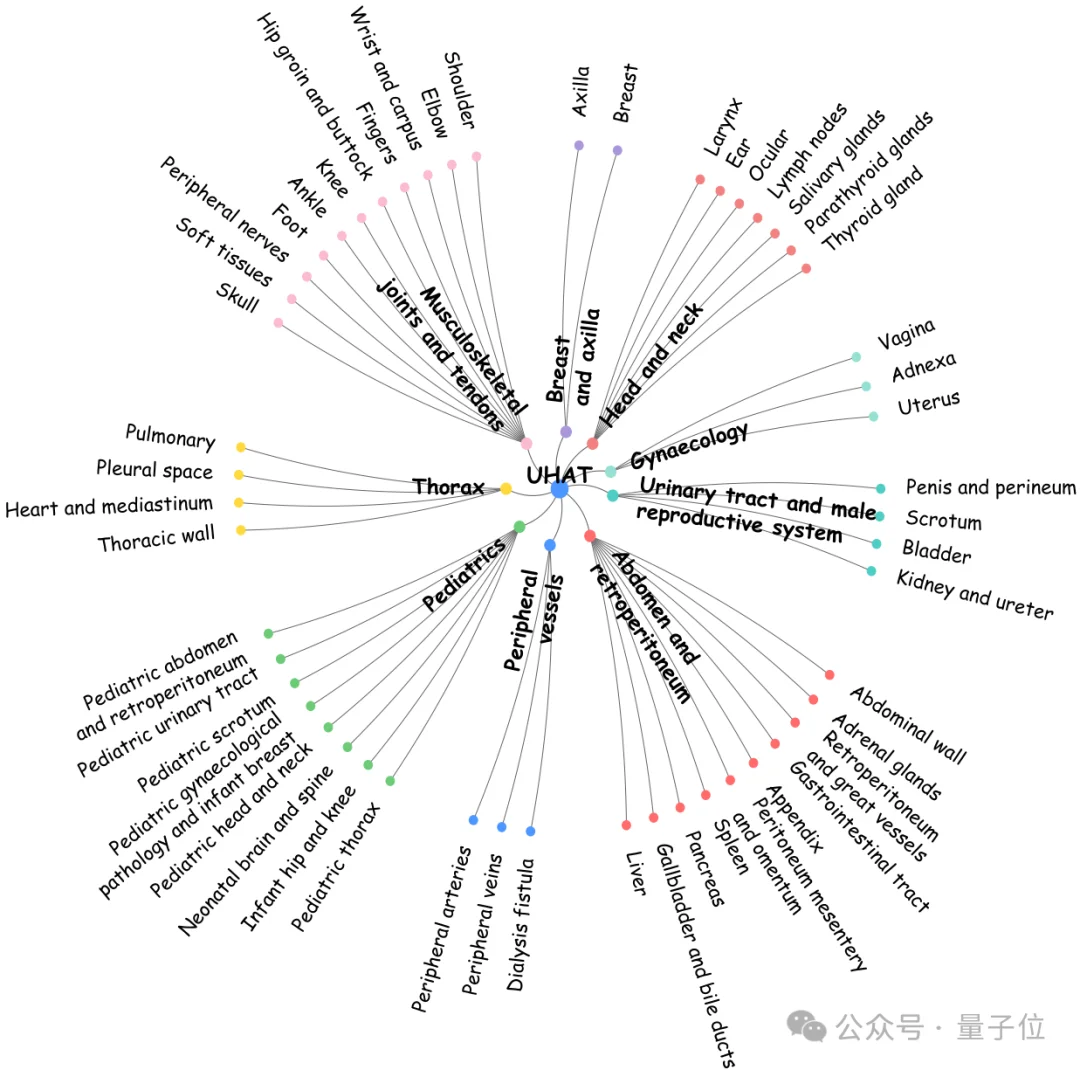 36.4万超声图文对！中国团队构建首个大规模超声专属数据集，让AI真正读懂临床诊断语义丨CVPR'26