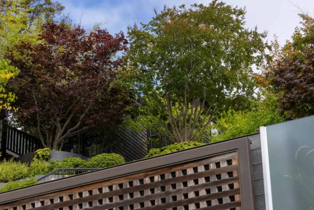 突发！阿尔特曼家又遇枪击