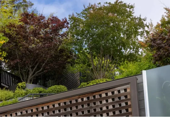 突发！阿尔特曼家又遇枪击