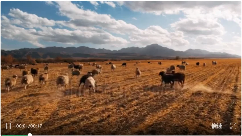 准确回答视频细节!11B模型挑战视频理解「证据级」任务,开源可商用
