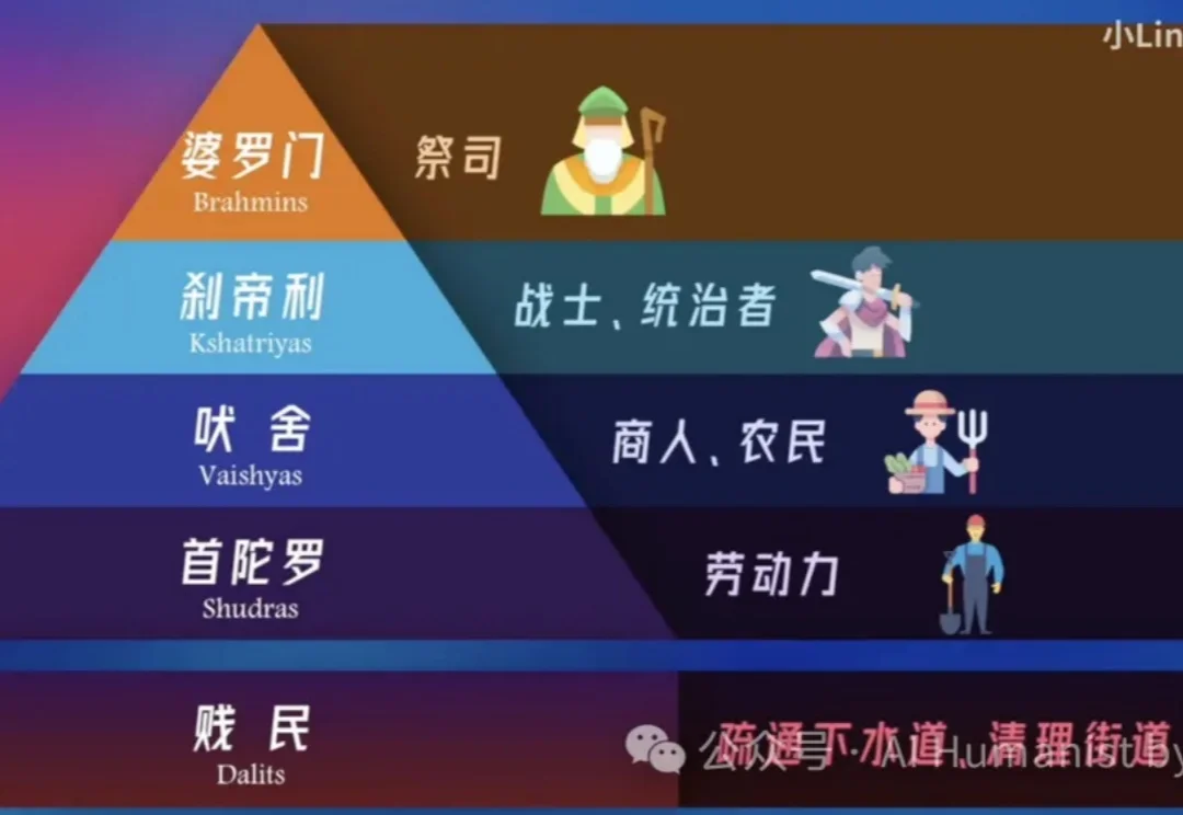 我用全网爆火的 Remotion Skill 全面复刻了 「小 Lin 说」的特效，它能做成什么样？｜附带保姆级教程