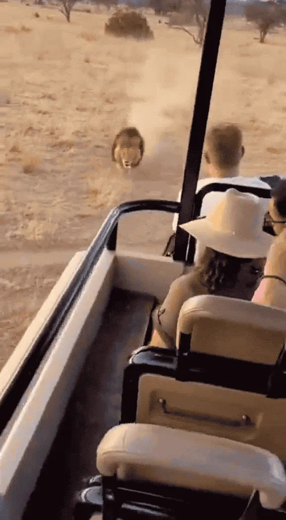 Claude 又又又又降智了,只有它自己不知道