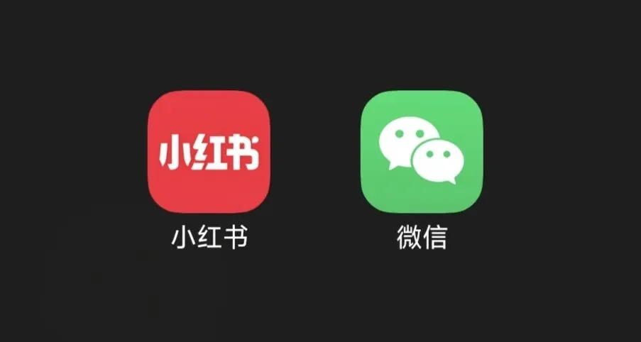 真正的 Skill 商店，为什么变成了微信公众号和小红书？