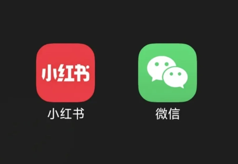 真正的 Skill 商店，为什么变成了微信公众号和小红书？