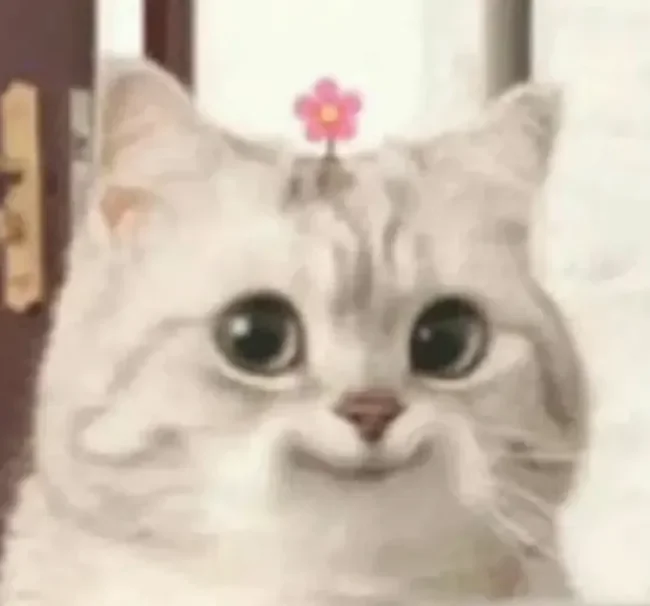 3.9 元让 OpenClaw 实现 Token 自由！