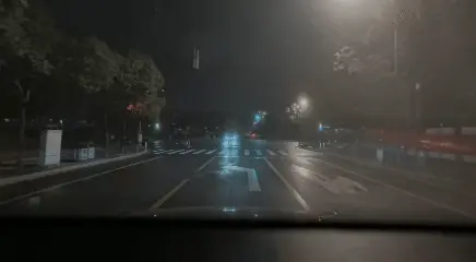 世界引擎：Post-Training开启Physical AGI新纪元