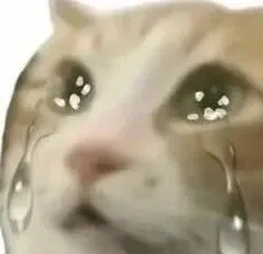 被Claude封号4次后，我决定和几个基友写个“属于中国开发者”的AI工具