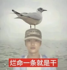 被Claude封号4次后，我决定和几个基友写个“属于中国开发者”的AI工具