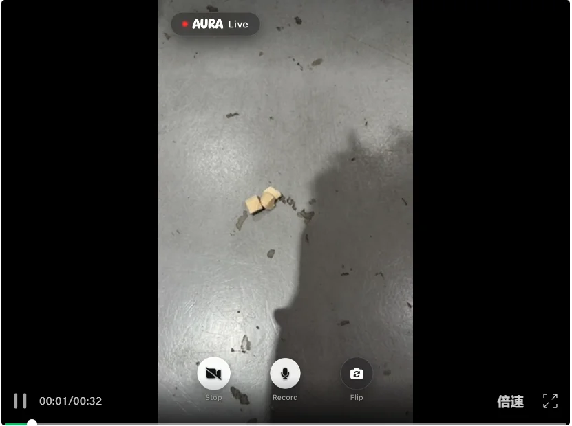 AURA：让视频大模型从“看完再答”，走向“边看边理解、边看边响应”